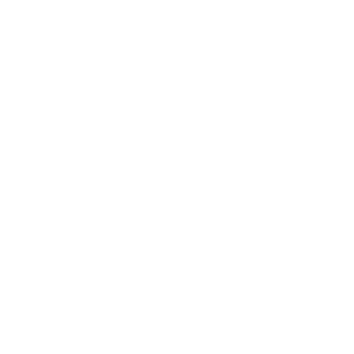 Driving Instructors Association